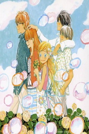 Honey & Clover