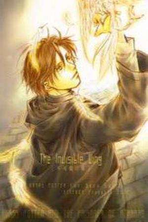 Harry Potter - The Invisible Wing (Doujinshi)